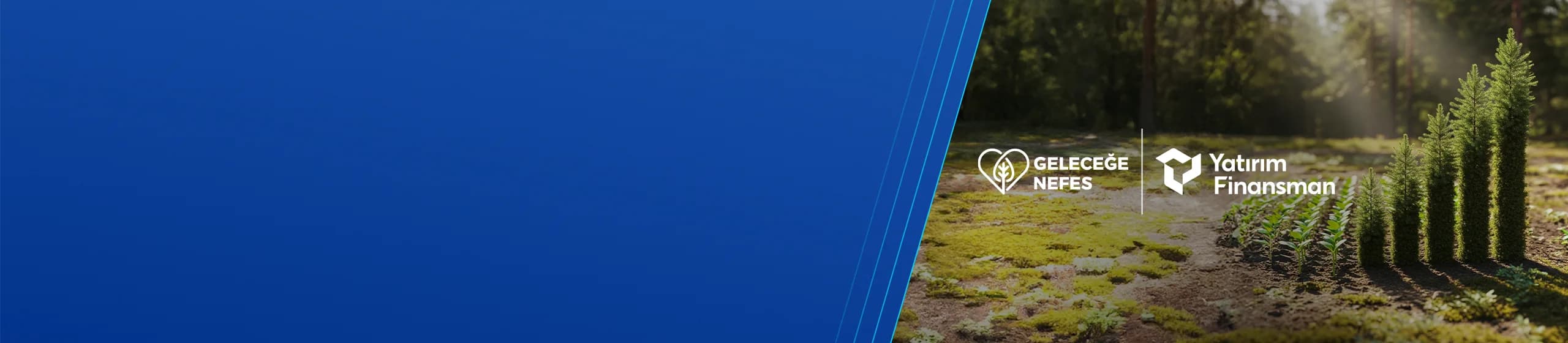 Küçük Bir Yatırım Bir Ormana Dönüşebilir mi?