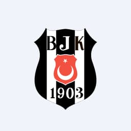 Enstrüman Logo