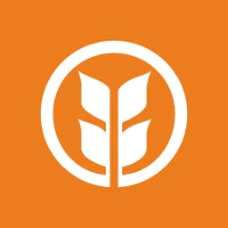 Enstrüman Logo