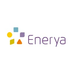 Enstrüman Logo
