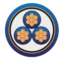 Enstrüman Logo