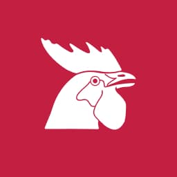 Enstrüman Logo