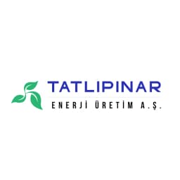Enstrüman Logo