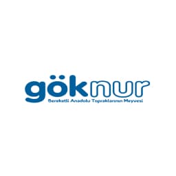 Enstrüman Logo