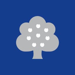Enstrüman Logo