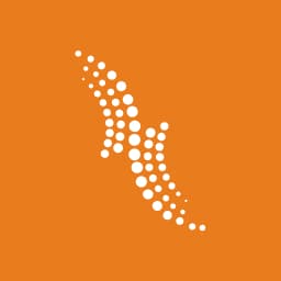 Enstrüman Logo