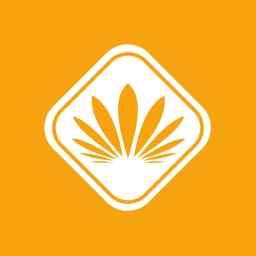 Enstrüman Logo