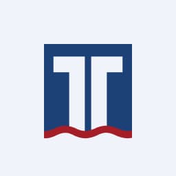 Enstrüman Logo