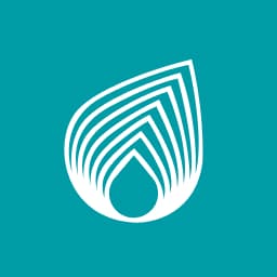 Enstrüman Logo