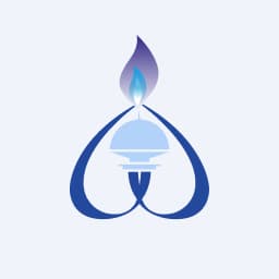 Enstrüman Logo