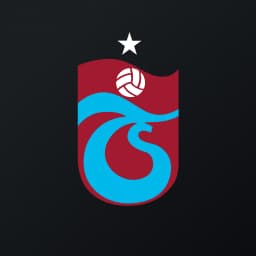 Enstrüman Logo