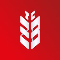 Enstrüman Logo