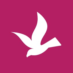 Enstrüman Logo