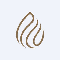 Enstrüman Logo