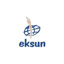 Enstrüman Logo