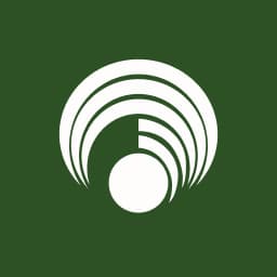 Enstrüman Logo