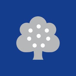 Enstrüman Logo