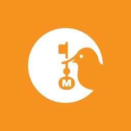 Enstrüman Logo
